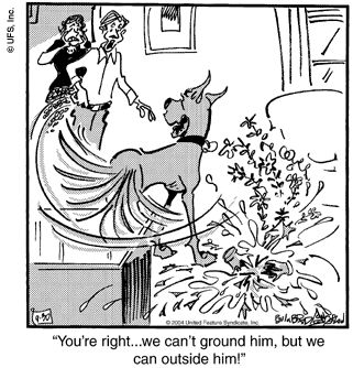 marmaduke